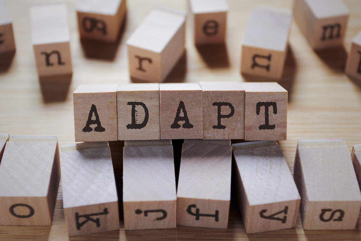 Word of the Day: Adapt